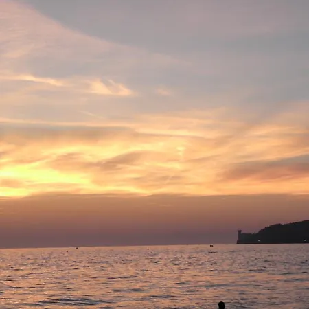 Stazione ترييستي